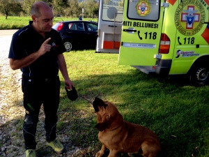Una unità cinofila del Soccorso alpino del Veneto