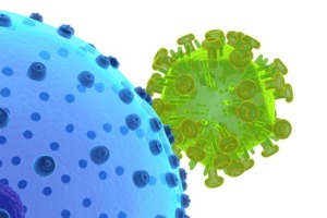 Un virus arpiona una cellula