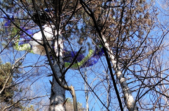 Pilota di parapendio recuperato incolume tra gli alberi di Semonzo del Grappa
