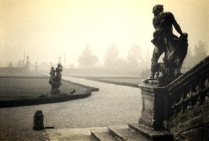 cordellina-nebbia