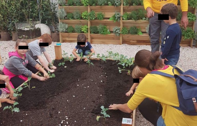 Veneto, domenica 14 ottobre 2018 fattorie didattiche aperte con la Coldiretti