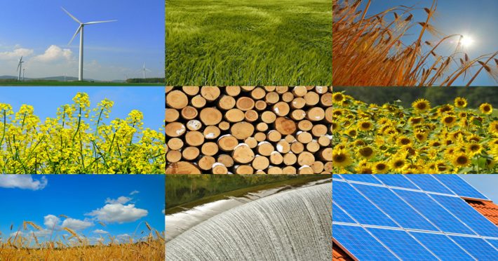 A Padova il falò delle sostenibilità: più consapevolezza  sulle energie rinnovabili