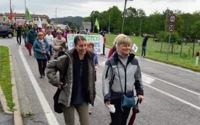 Cunial e Benedetti denunciano aumento uso pesticidi in Veneto