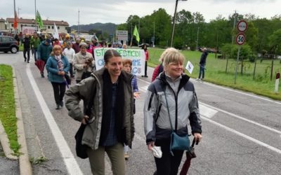 Bloccare per legge la canapa significa mettere a rischio 10mila posti di lavoro