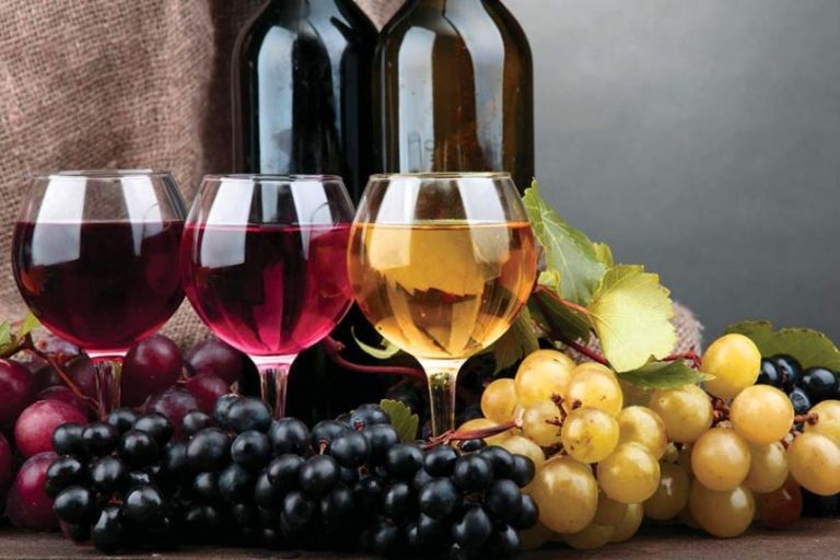 Per la vendemmia del 2019 in Veneto l’uva è sana, ma occhio al meteo