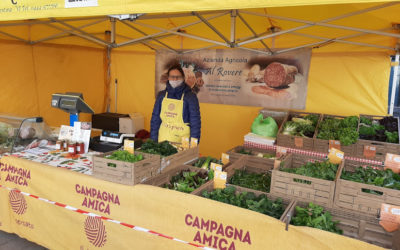 Mercato aperto in piazza delle Erbe a Vicenza