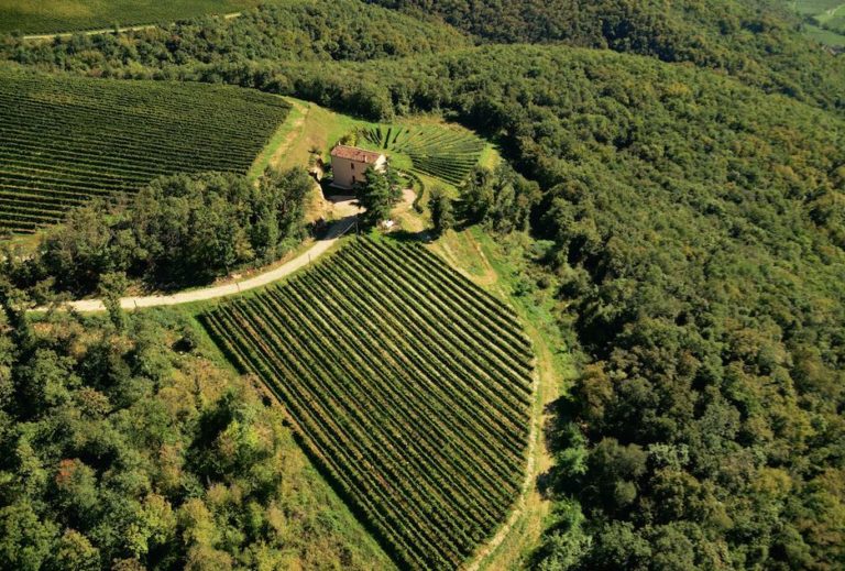 Coronavirus, Monte Zovo, un’azienda vitivinicola che ai lavoratori ci tiene