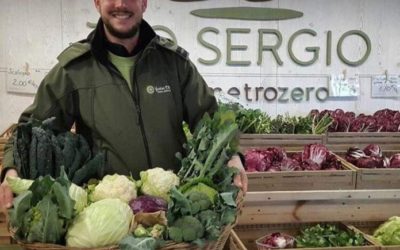 Coldiretti Veneto, 1500 braccia vogliono tornare all’agricoltura ma mancano i voucher