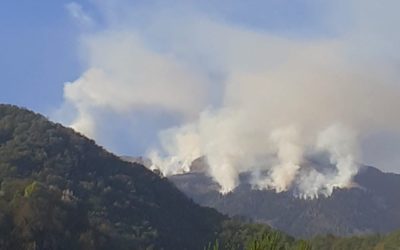 Incendio sul Novegno con più focolai [VIDEO]