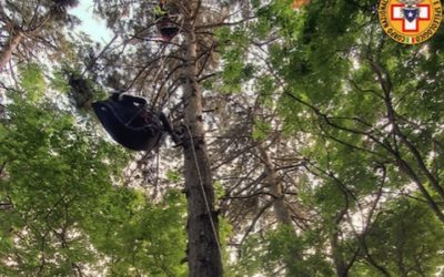 Donna appesa col parapendio sugli alberi a 20 metri dal suolo: salvata!