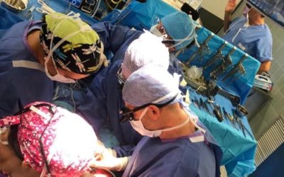 Mano tranciata riattaccata all’ospedale di Padova: ora la muove, miracolo della scienza
