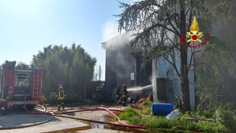 Bressanvido, in fiamme 1000 quintali di fieno