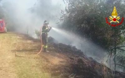 A Longare incendio ramaglie minaccia vigneto [VIDEO]
