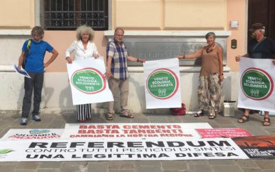 Regionali 2020, in Veneto dal Forum Salute Ambiente e Solidarietà nasce la lista guidata da Patrizia Bartelle