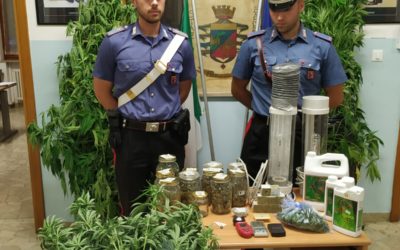 “Maria” dal produttore al consumatore: 64enne nei guai