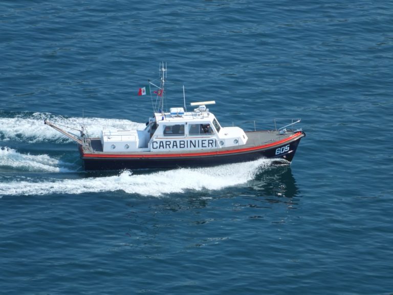 Lago di Garda, sequestrato pesce destinato ai ristoranti