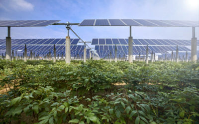 Consumo di suolo, Baldin (M5S): ci sono fondi europei ed esiste l’agrivoltaico!