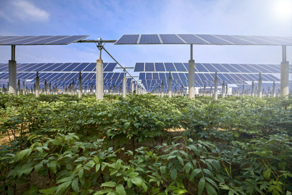 Consumo di suolo, Baldin (M5S): ci sono fondi europei ed esiste l’agrivoltaico!