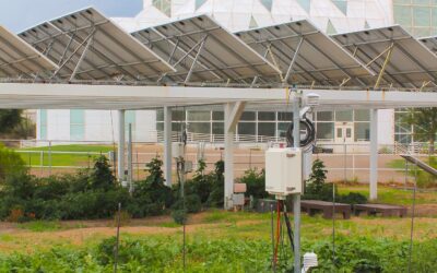 Fotovoltaico a terra – Lorenzoni: “il Veneto sceglie di frenare, non di spingere la transizione ecologica”