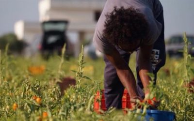 La FLAI CGIL denuncia: in Veneto 10.000 irregolari nei campi