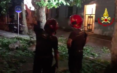 Platano pericolante su pista ciclabile a Bassano del Grappa: intervento VV FF [VIDEO]