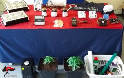 A Valdagno arrestato coltivatore domestico di canapa indiana