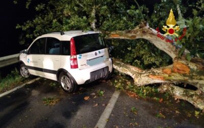 Ad Anguillara auto contro albero caduto in strada: automobilista salvo