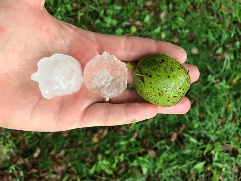 Maltempo: agricoltura in ginocchio, danni incalcolabili