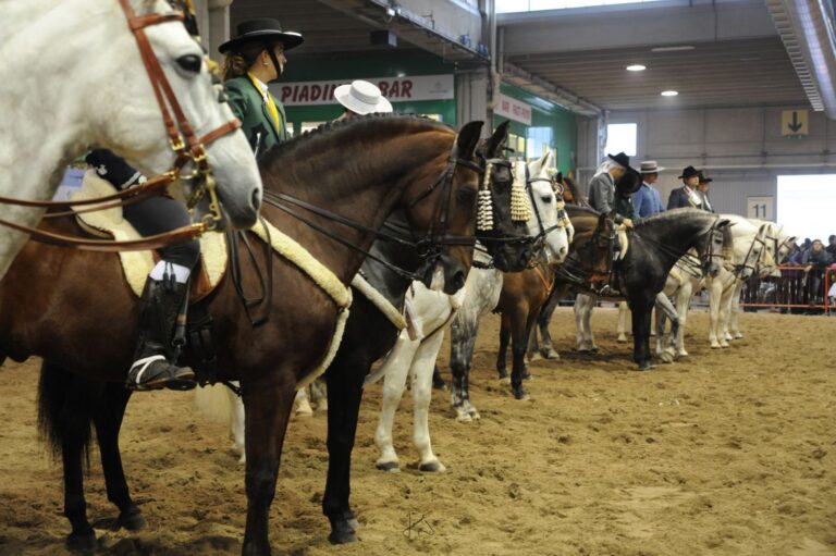 A novembre 2020 confermata l’edizione 122 di Fiera Cavalli a Verona
