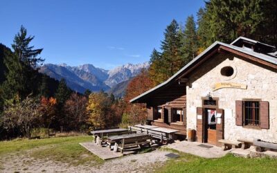 Cercatrice di funghi muore cadendo in un dirupo