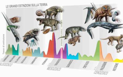 Scienza: UniPD e MUSE, individuata nuova estinzione di massa di 233 milioni di anni fa
