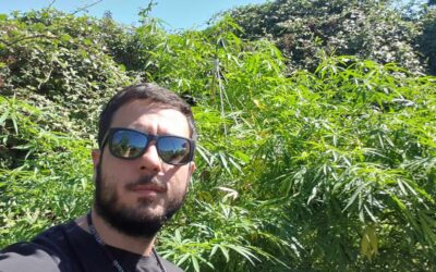 Vende l’erba in Piazza delle Erbe a Vicenza: è boom di cannabis legale