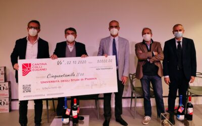 Da Cantina Colli Euganei 50mila euro a ricerca anti covid UniPD