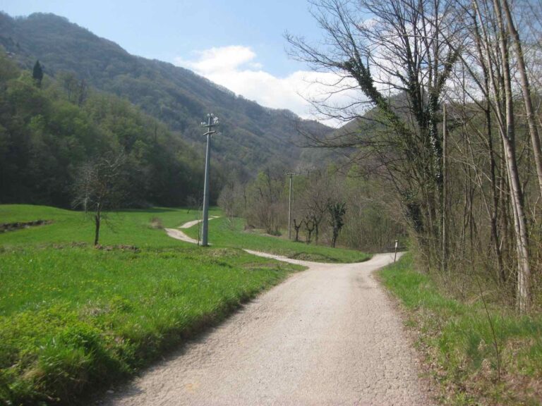 Ritrovato nella notte sano e salvo l’anziano andato a funghi sui monti sopra Schio