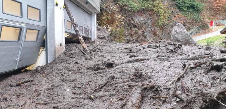 Maltempo – Geologi di SIGEA: senza piante strappate da VAIA il territorio è debole