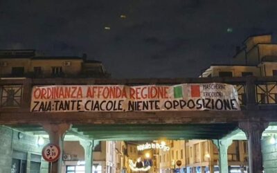 Ordinanza affonda Regione: Zaia tante ciacole, niente opposizione!