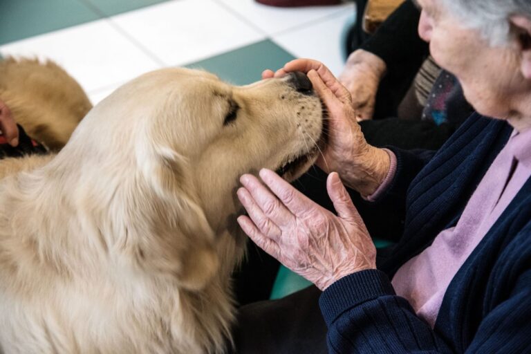 Smantellato centro di pet teraphy dell’Aulss Pedemontana – Luisetto (PD) denuncia il silenzio!