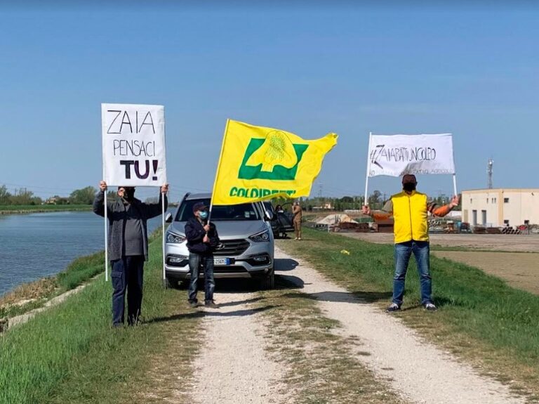 Pannelli solari sui campi – Coldiretti denuncia pressioni delle lobby del fotovoltaico: no al consumo di suolo agricolo