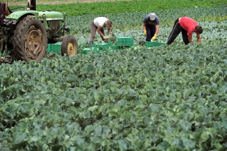 Zabeo (CGIA di Mestre): «Con il contrasto al “lavoro nero” si aumenta il salario minimo»