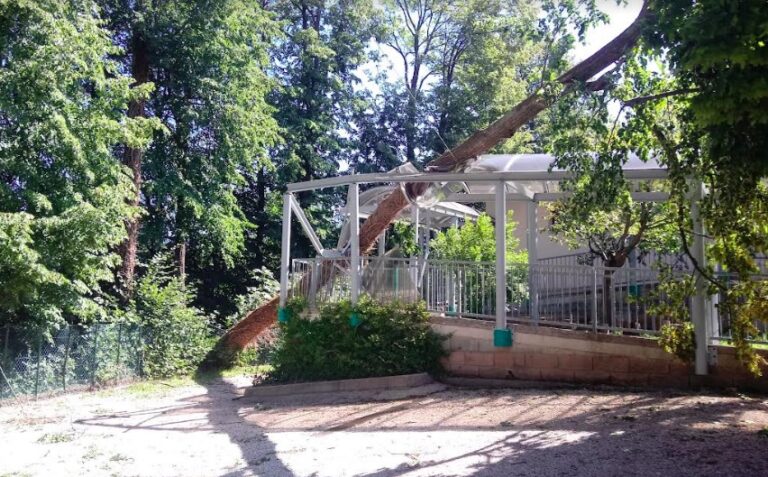 Maltempo – Un tiglio si abbatte sulla scuola di Sant’Ulderico a Schio