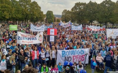 Inquinamento da Pfas: arriva una missione ONU in Veneto, ipotesi violazione dei diritti umani