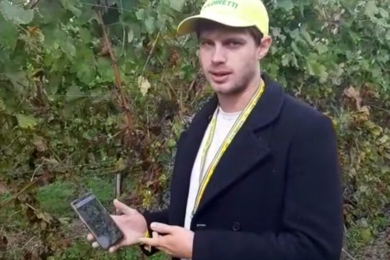 Una APP in soccorso alla viticoltura veneta: vince l’Oscar green Coldiretti  e interviene in Senato