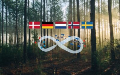 Germania e Olanda con Danimarca, Svezia e Norvegia propongono all’UE di bloccare il commercio di PFAS: l’Italia tace [VIDEO]