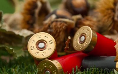 WWF: il governo Meloni rispetti il regolamento UE sul piombo nelle munizioni dei cacciatori