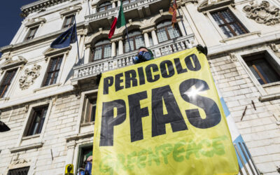 Rapporto shock di Greenpeace sull’inquinamento da PFAS negli alimenti